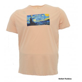 Tricou barbati BGT103
