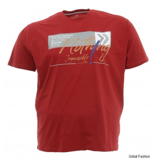 Tricou barbati BTC74