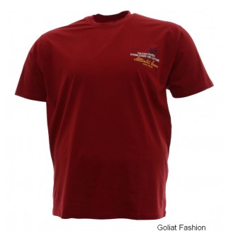 Tricou barbati BTC191 Tricou barbati BTC191