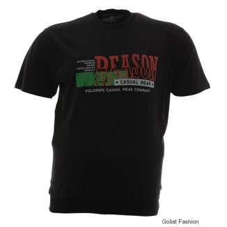 Tricou barbati BTC178