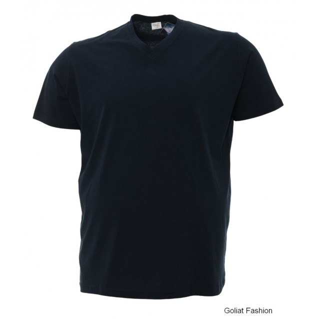 Tricou barbati BTBG54