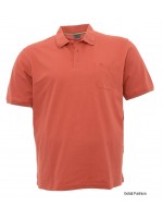 Tricou barbati BTGM46