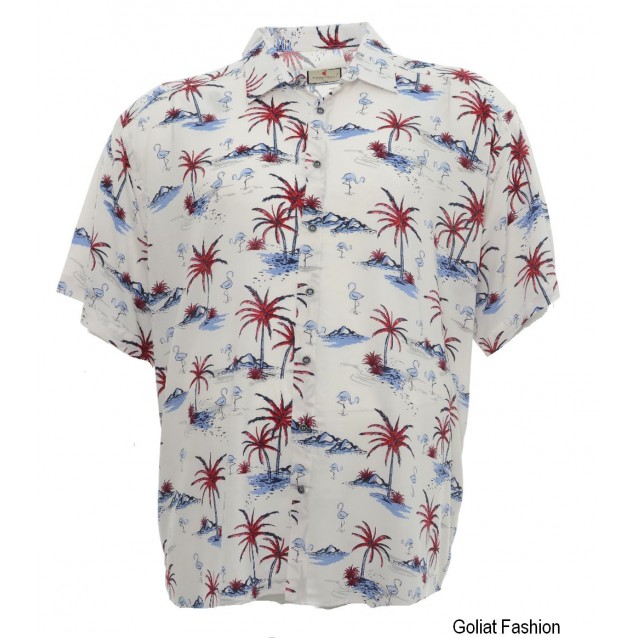 Camasa barbati CSM158