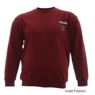 Bluza barbati BLZB119