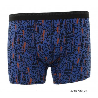 Lenjerie intima BOXER31