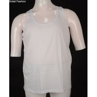 Maieu  barbati maieucp1