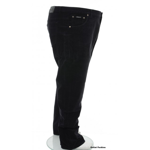 Reiati barbati REIAT8