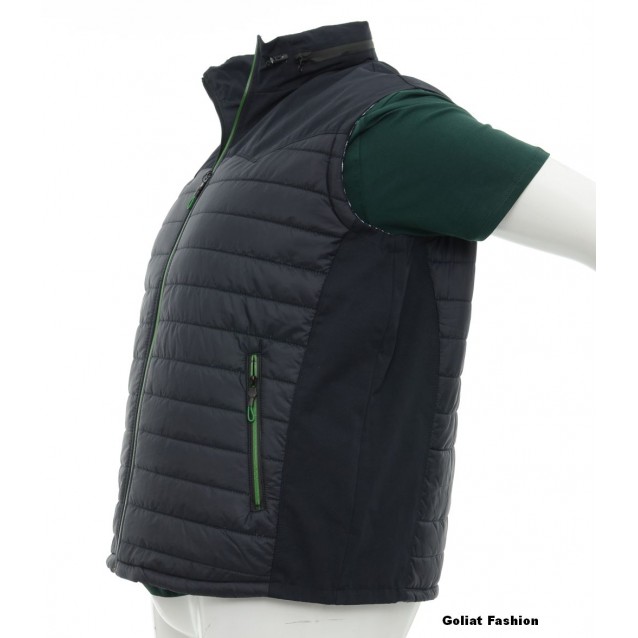 Vesta barbati BVST46