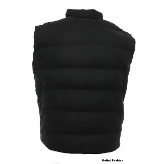 Vesta barbati BVST51