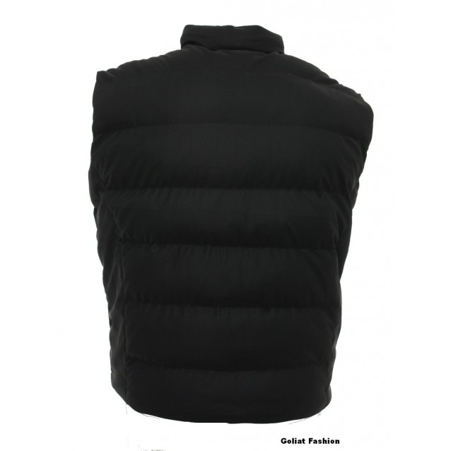 Vesta barbati BVST51