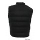 Vesta barbati BVST51