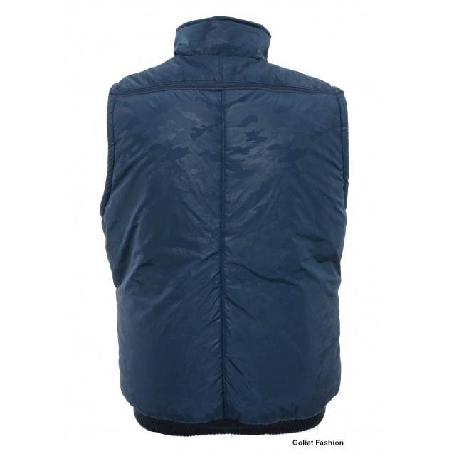 Vesta barbati BVST54