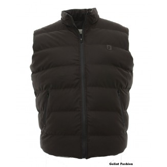 Vesta barbati BVST49