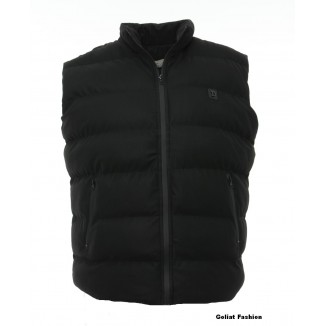 Vesta barbati BVST51