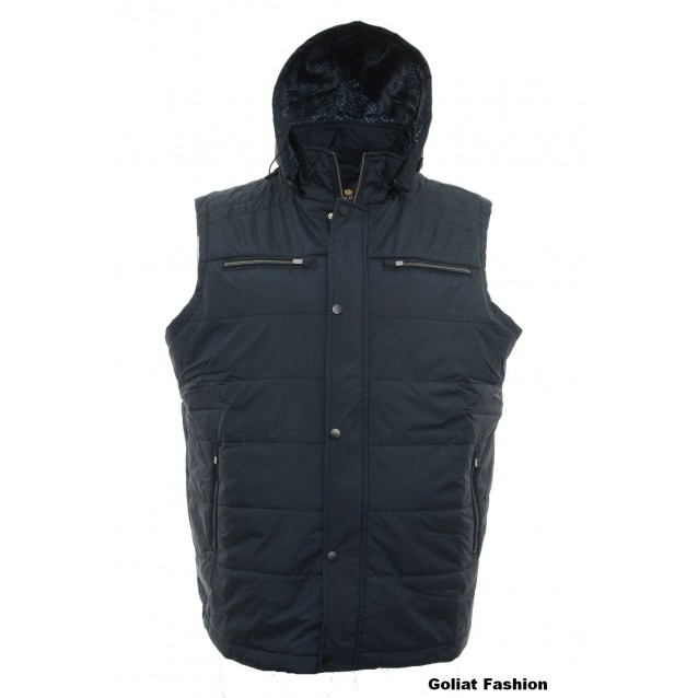 Vesta barbati VSTB2