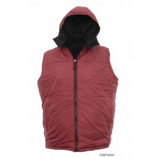 Vesta barbati VSTB14