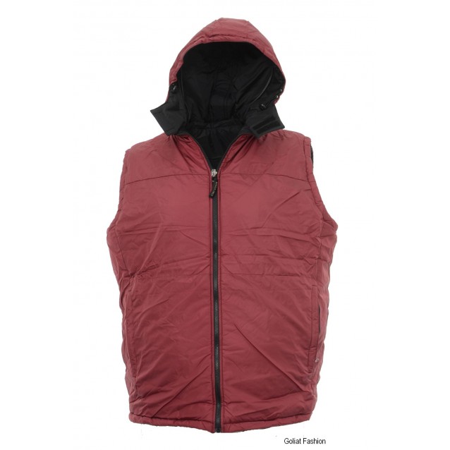 Vesta barbati VSTB14