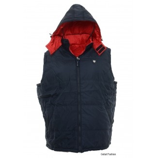 Vesta barbati VSTB12