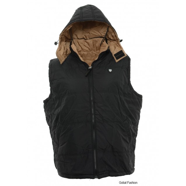 Vesta barbati VSTB13