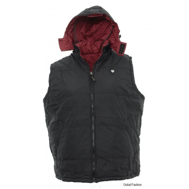 Vesta barbati VSTB14