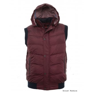 Vesta barbati BVST16