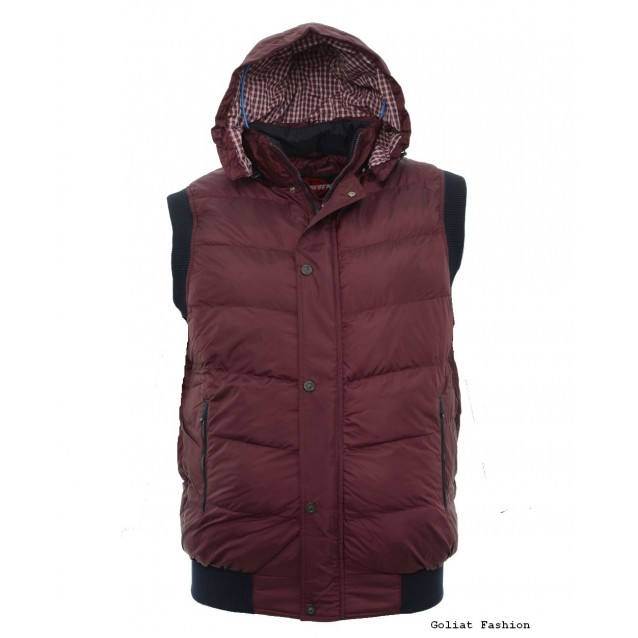 Vesta barbati BVST16